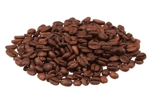 เรียนชงกาแฟ เมล็ดกาแฟคุณภาพ